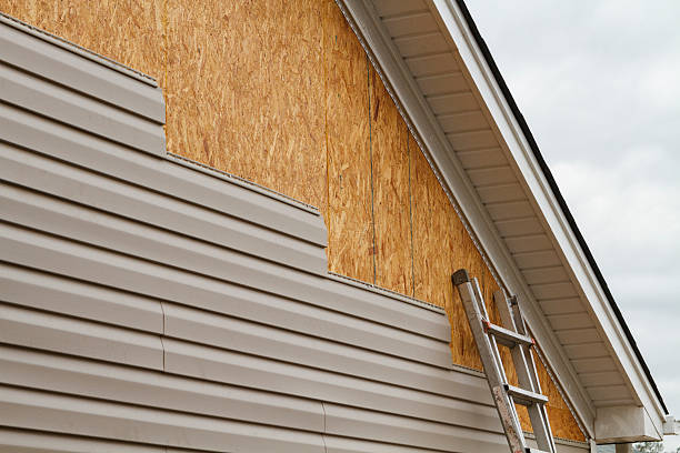 Professional Siding Inspection technician working in Fairview, NC
